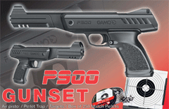 Gamo P 900 Kit